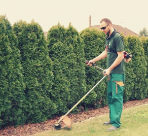 Nuran Sadiku - Gartenpflege Sadiku aus Gänserndorf